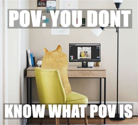 pov means in memes